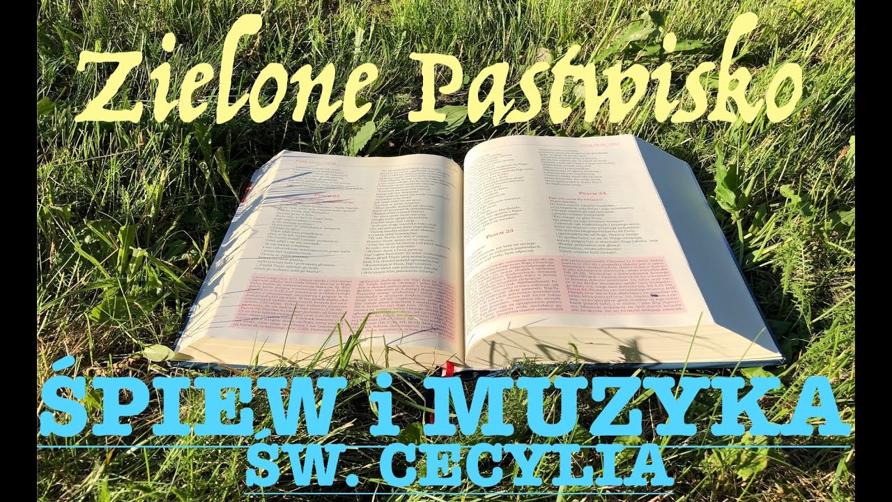 Zielone Pastwisko 22.11.2021 