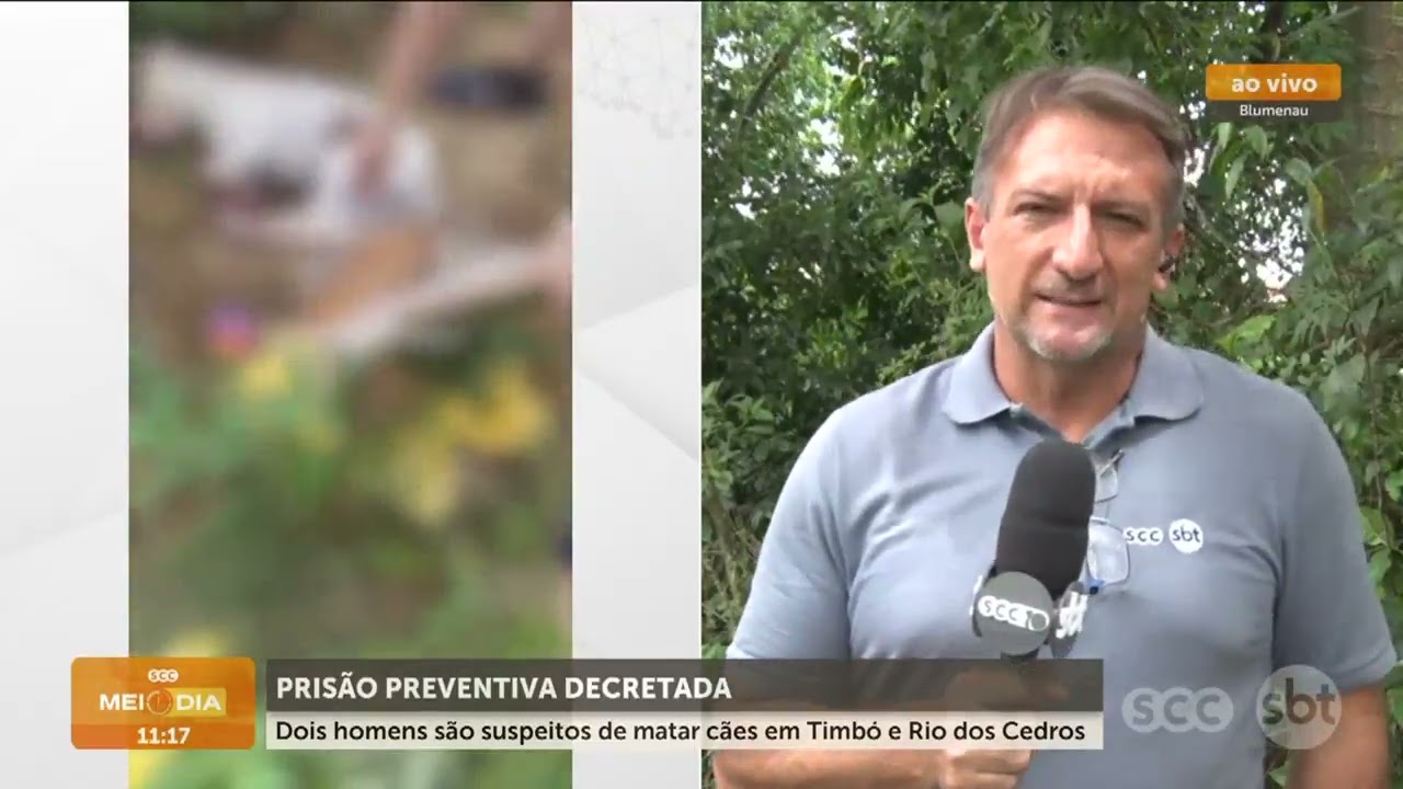 Prisão preventiva decretada para suspeitos de matar cães | Segurança | SCC Meio-Dia