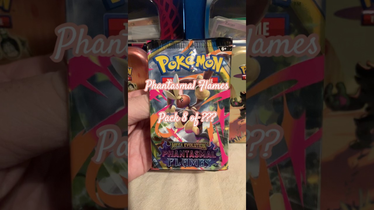 017 Eighth Phantasmal Flames - Chasing the Charizard 