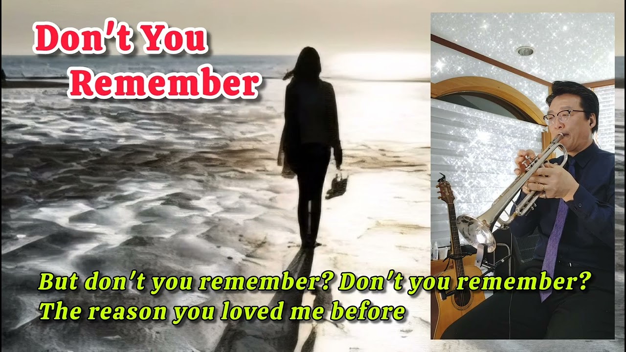 Don't You Remember / Adele / Trumpet cover