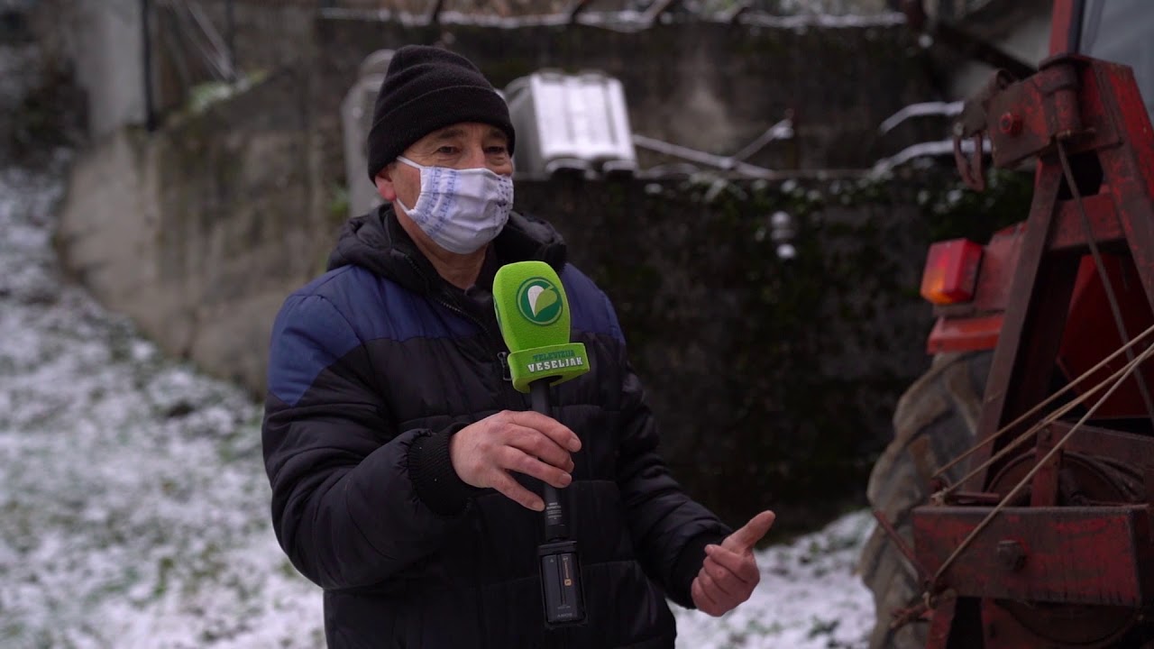 Najstarejši Krpanov vitel v Sloveniji