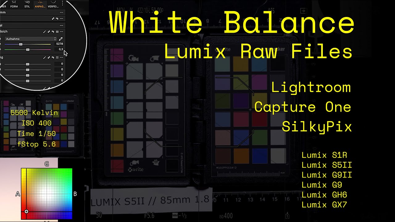 Lumix Rawdaten: Wei&szlig;abgleich mit unterschiedlichen Konvertern