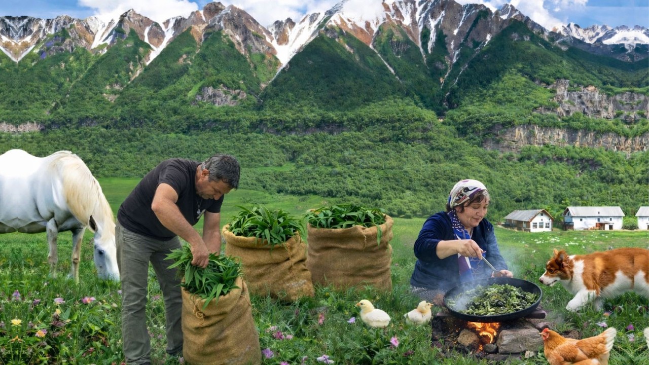 From the Mountain to the Table: Picking Wild Greens in Azerbaijan