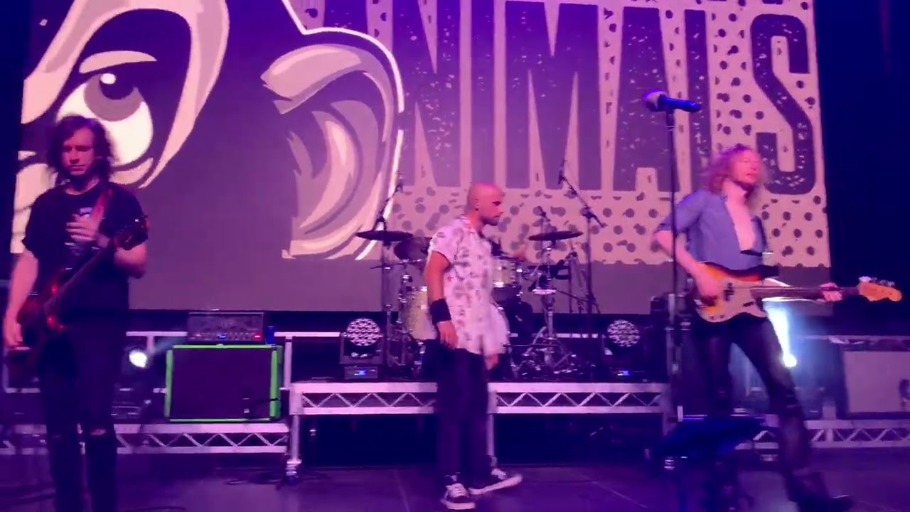 Mark Furze and The Filthy Animals at the Distillery Road Market 