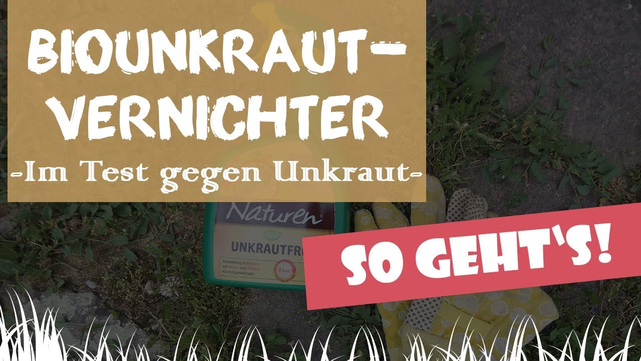 Bio Unkrautvernichter gegen Unkraut: So funktioniert&lsquo;s | Garten-und-Freizeit.de