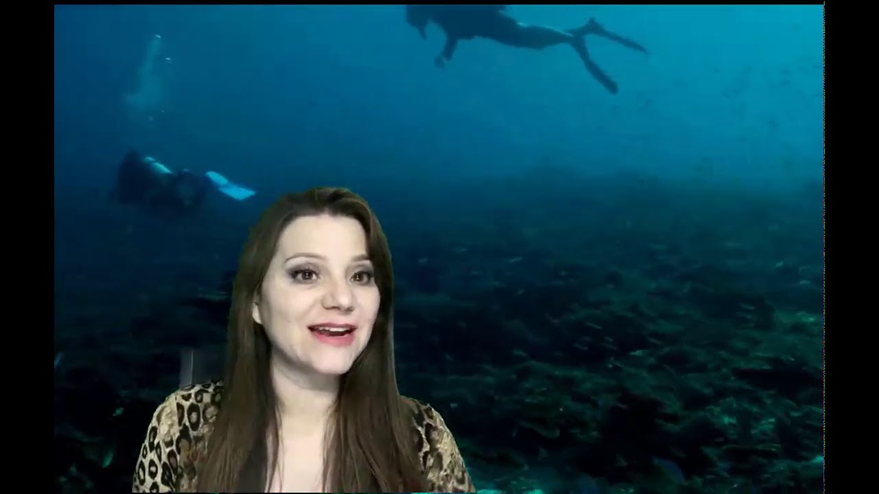 Cararcterísticas de los Cordados, origen y Urocordados