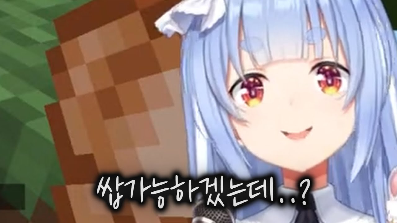 선배꺼도 내꺼 내꺼도 내꺼 페코요 【특집 홀로라이브/미나토 아쿠아, 우사다 페코라】