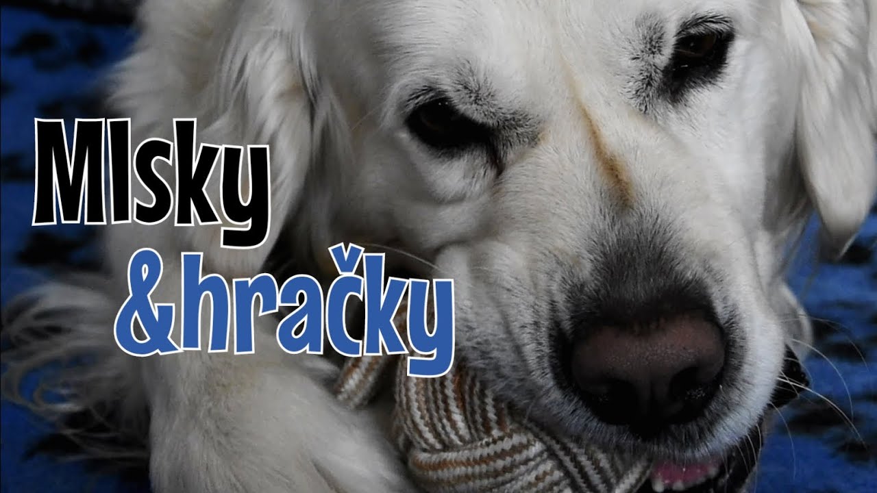 Povánoční nákupy v Superzoo