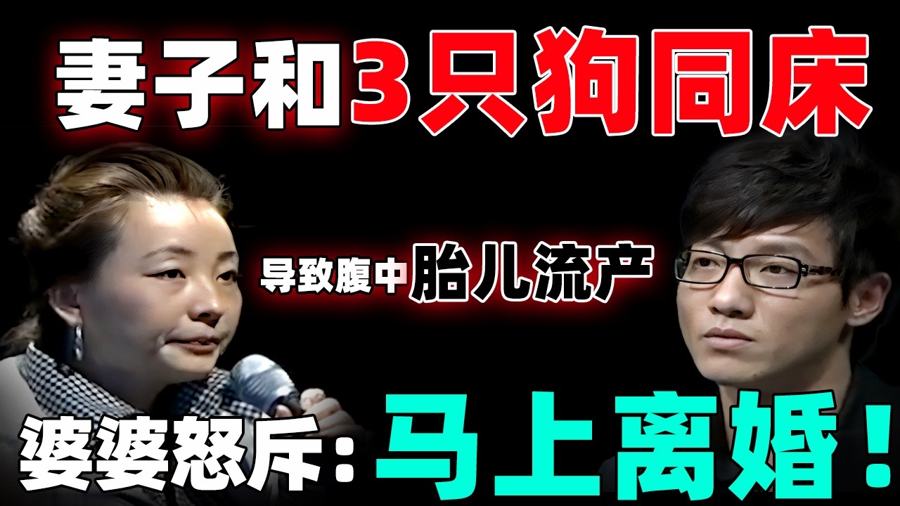妻子和3只狗同床？导致腹中胎儿流产！婆婆怒斥：马上离婚！【情感调解室】