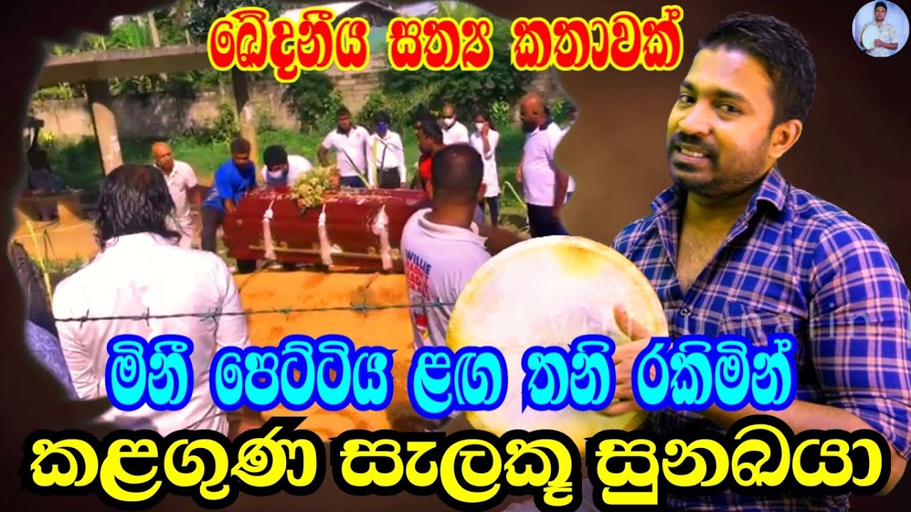 සත්‍ය කතා විරිදු | පෙට්ටිය ළග තනි රකිමින් කළ ගුණ සැලකූ සුනඛයා, viridu nalin new