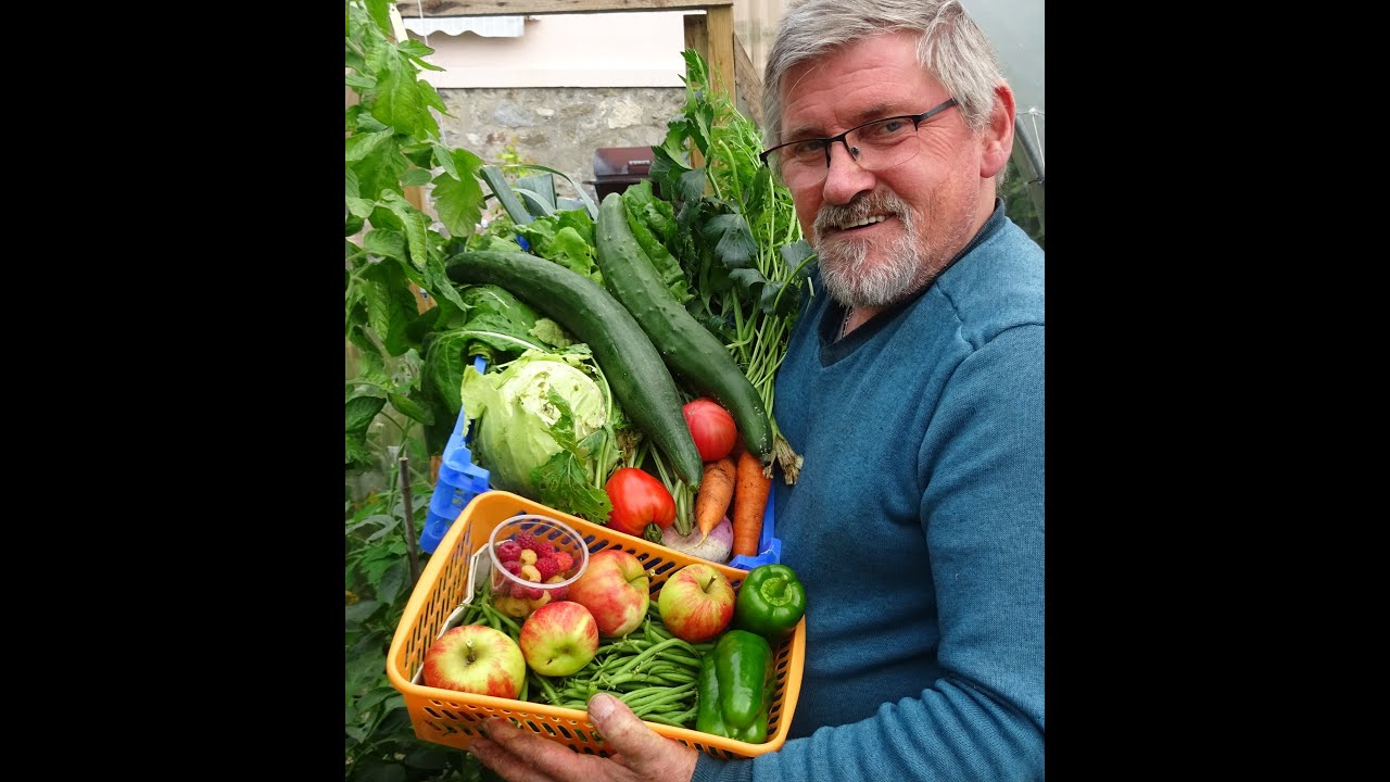 le 19/09/2021:Un jour de récolte au petit potager