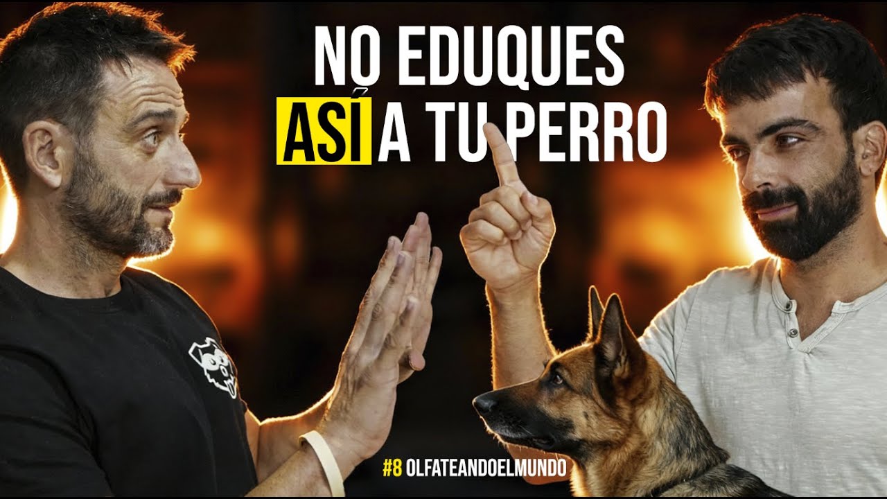 La educación canina puede DESTROZAR a un perro