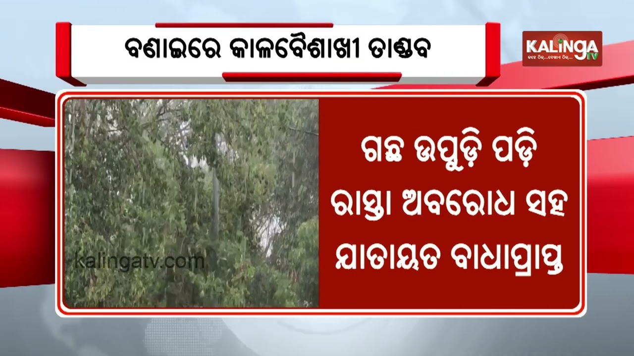 Kalabaisakhi-Induced Heavy Rain in Sundargarh, Banai Uproots Trees, Disrupts Road Connectivity