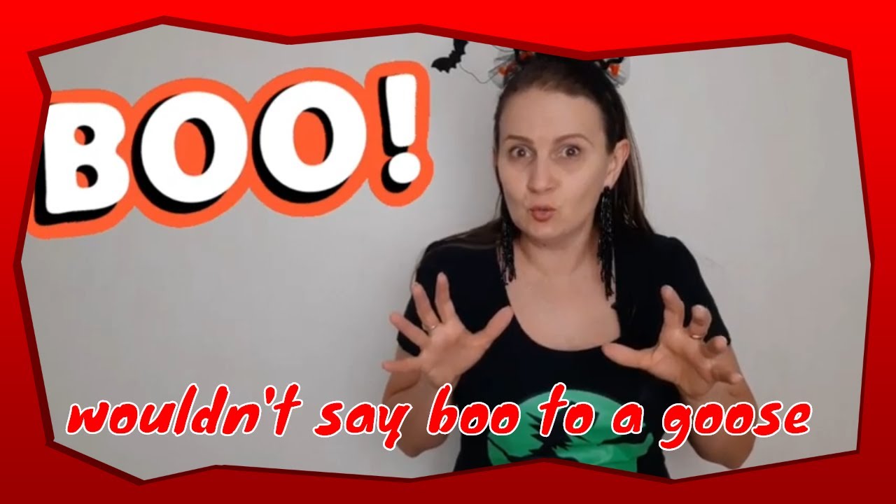 English Idioms | Wouldn't say boo to a goose