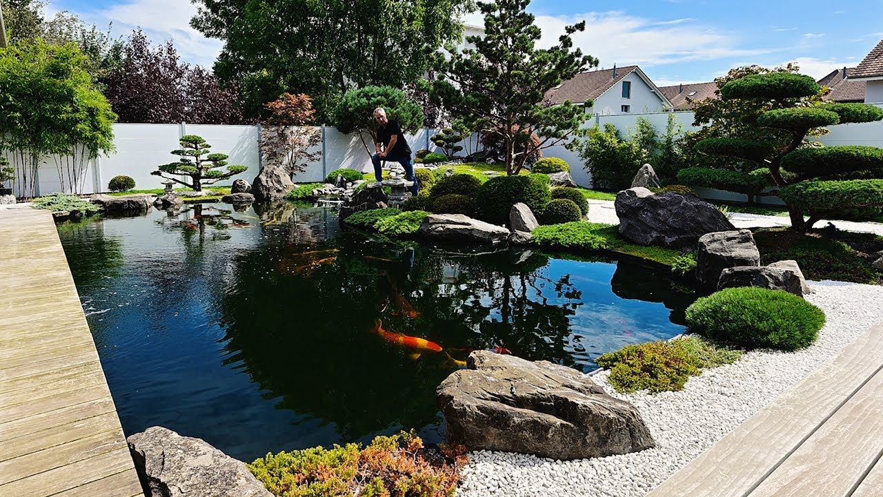 Martins megageiler Traumteich im Traumgarten | Modern Koi Blog #6407