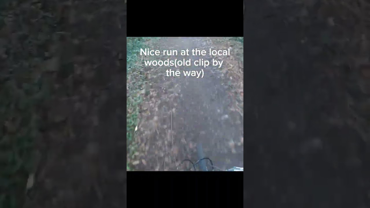nice run at the local woods