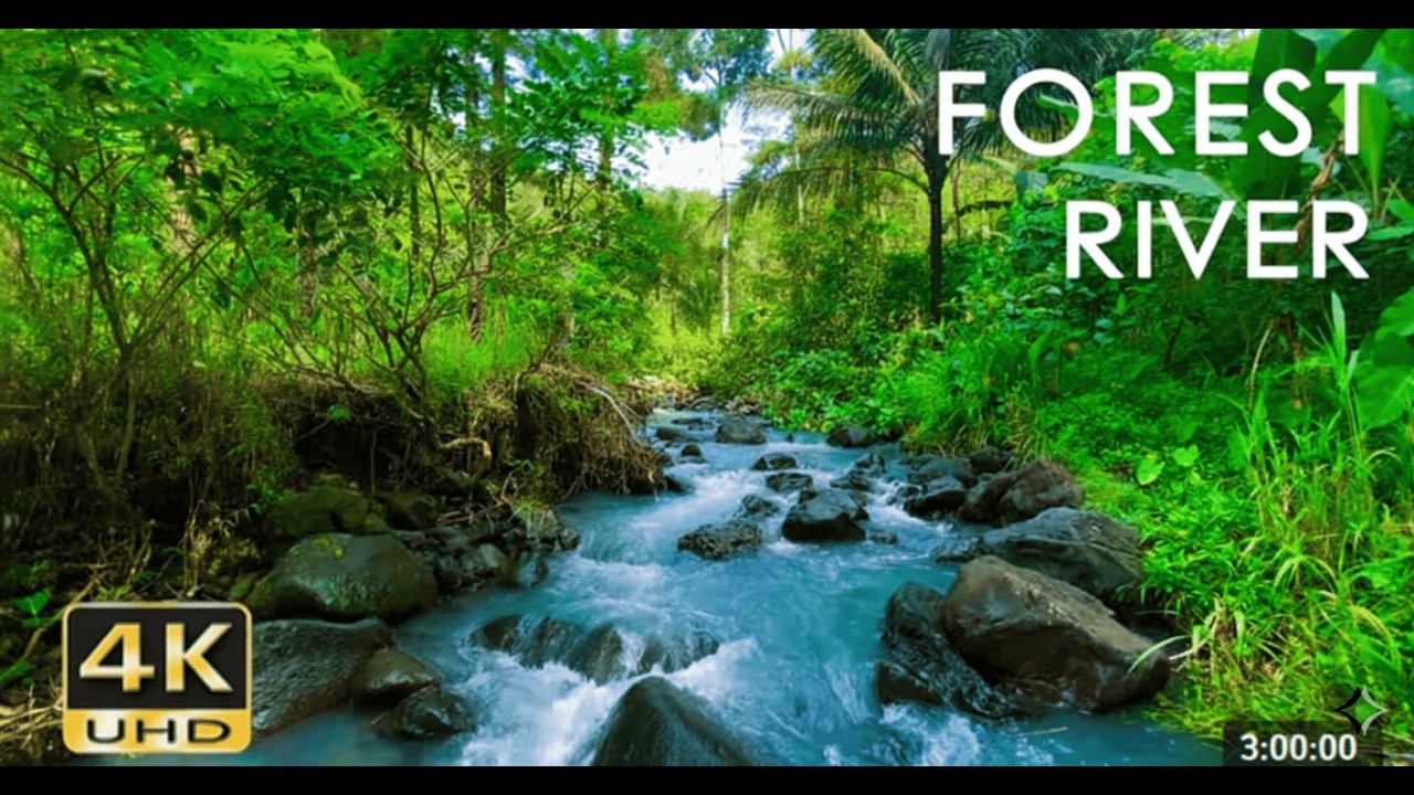 3 Hours Relaxing River Sounds 🍃- Gentle Water Flow for Sleeping, Studying, and Focus