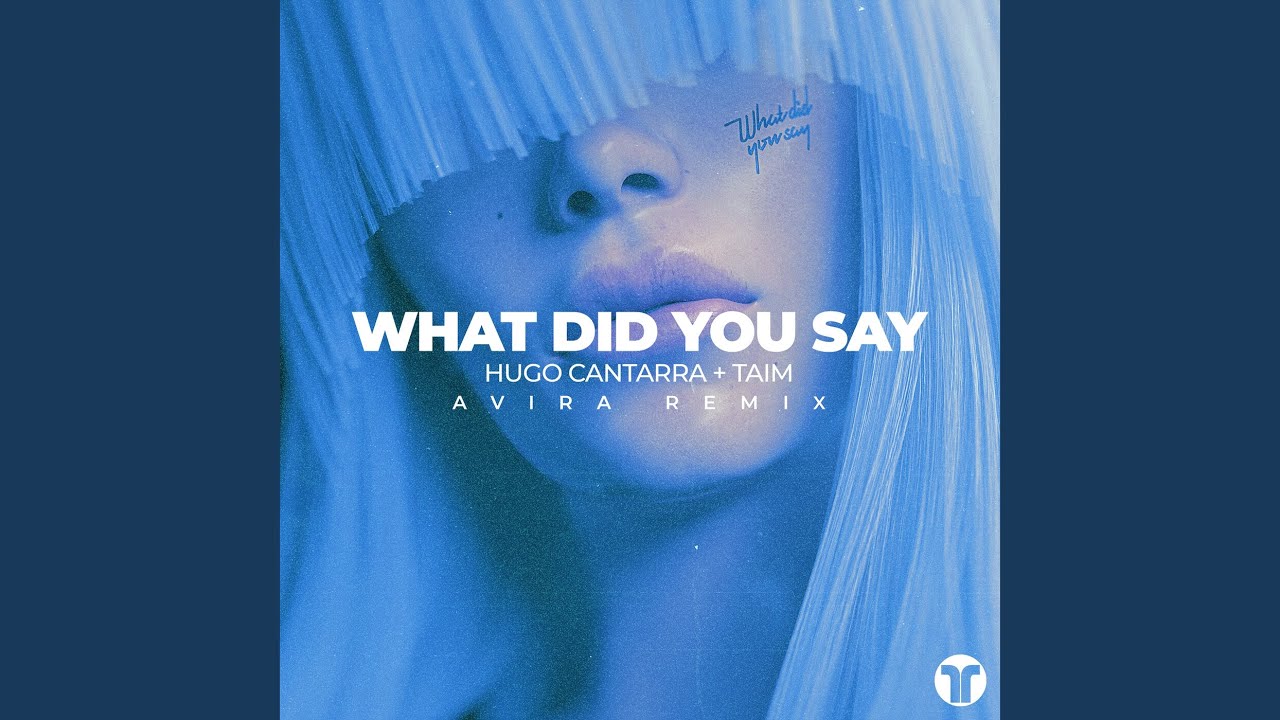 What Did You Say (AVIRA Remix)