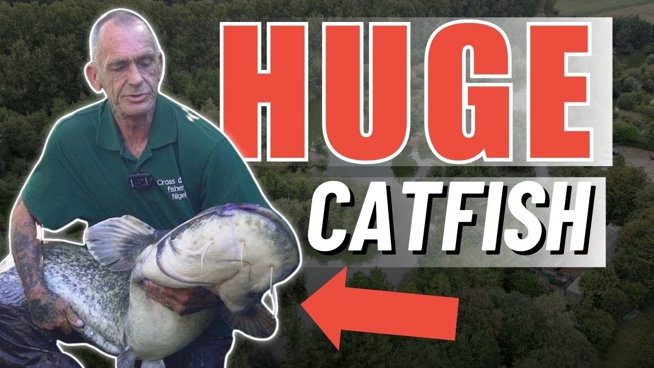 Cross Drove Fishery | CAT FISHING in Norfolk | Carp Fishing in Norfolk | Day Ticket Fishing | Catch