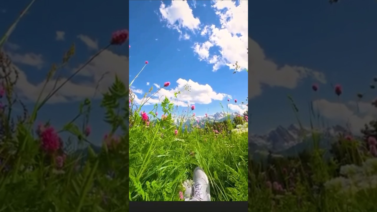 Nature🌸#naturelovers #naturephotography #channave