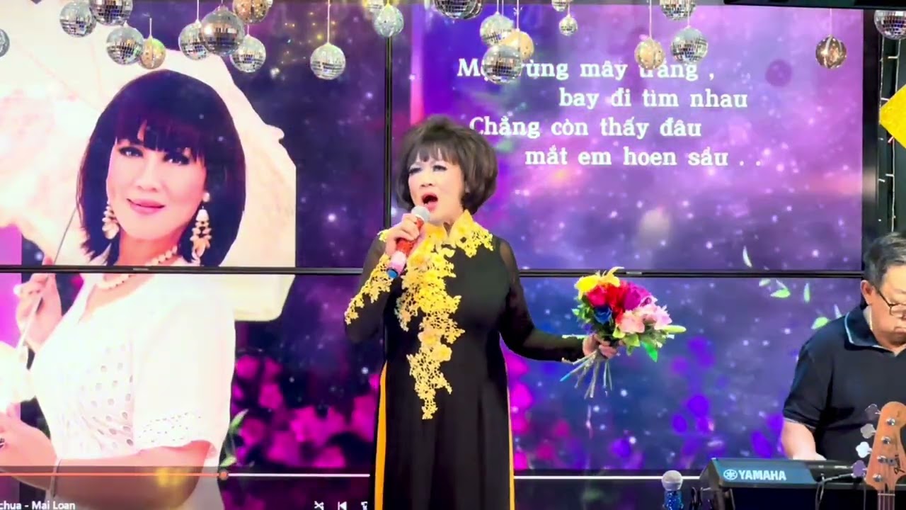 🎼EM ĐÃ THẤY MÙA XUÂN CHƯA . ST: Quốc Dũng . TB: Mai Loan 