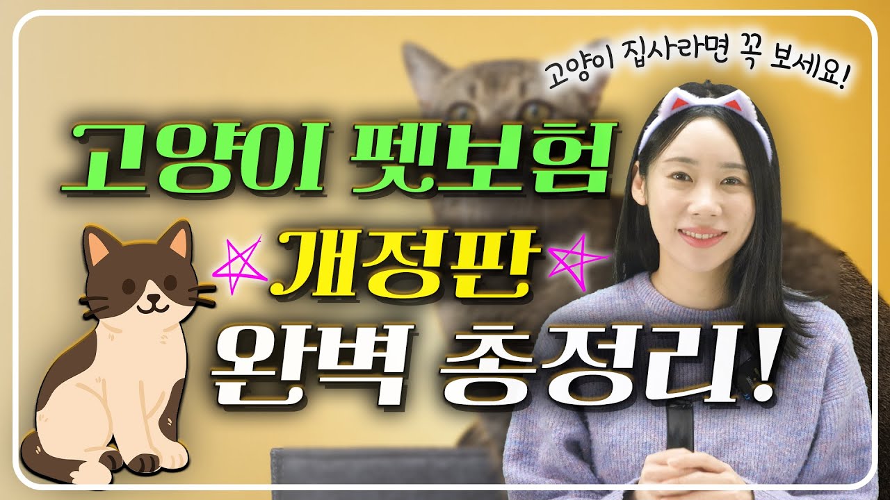 2025년 최종 고양이 펫보험｜최신 개정 대표 4사 비교｜이제 이 기준으로 보세요!