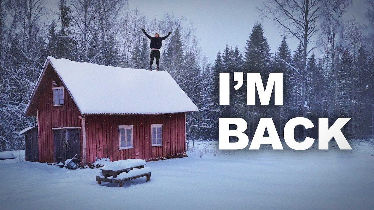 Where Have I Been? Forest Updates, House Progress, & Big Plans for 2025 🌲🏡