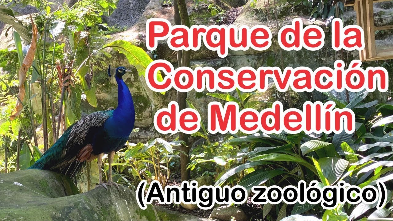 Parque de la conservación de Medellín. (antiguo zoológico)