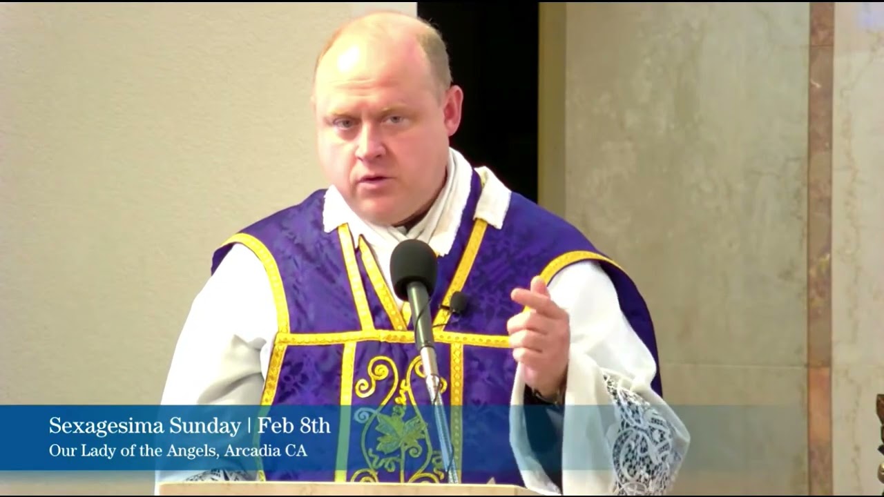 Во имя спасения душ: почему новые епископы необходимы для сохранения традиции — проповедь отца Бе...