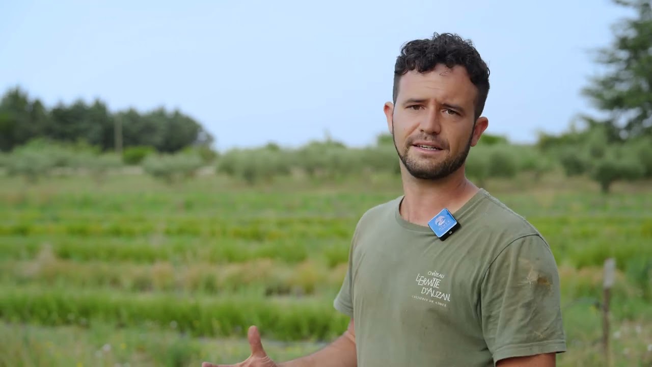 Oenotourisme et Biodynamie