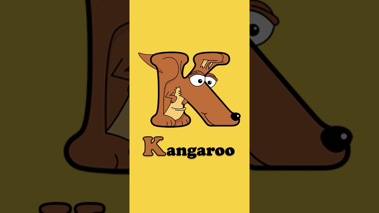Animals that start with K - Kangaroo, Kingfisher, Kiwi, Koala 