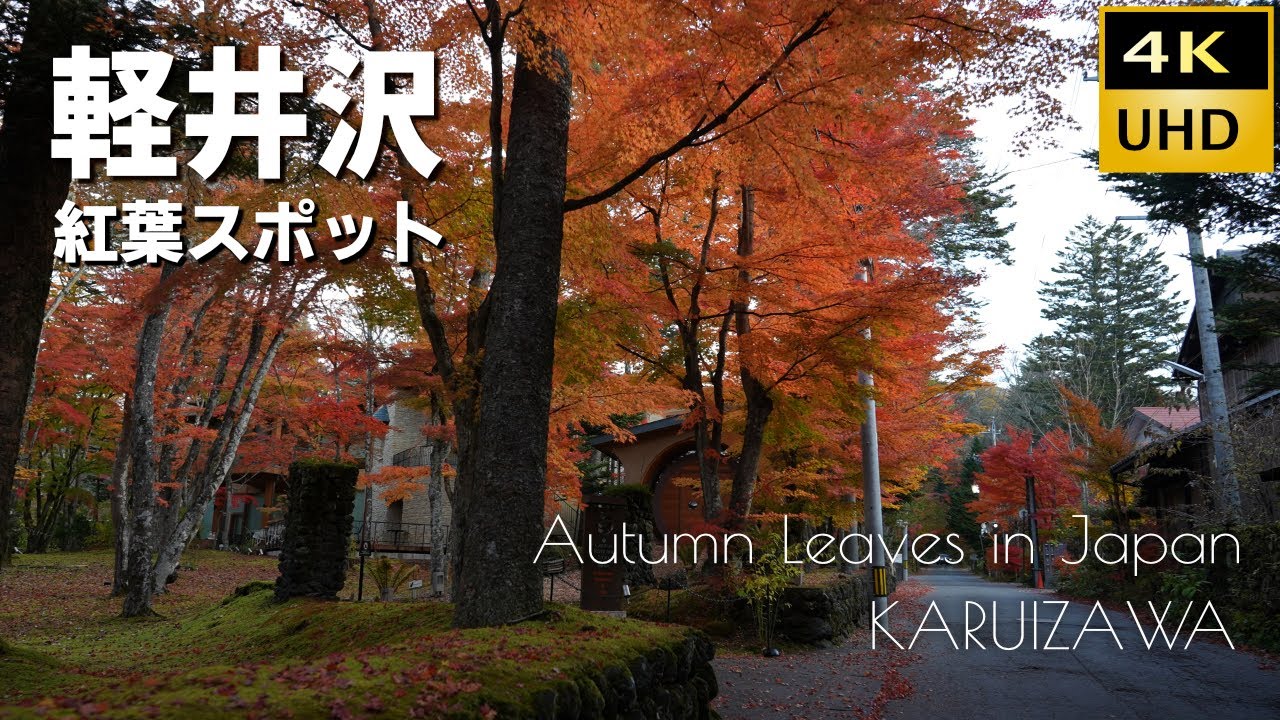 軽井沢 紅葉！紅葉！紅葉！紅葉だらけ！ 2022
