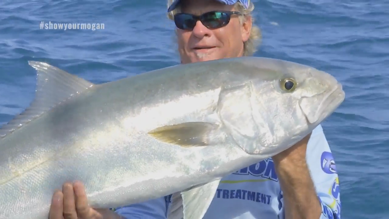 Monster Amberjack and Grouper Fishing in Key West Florida