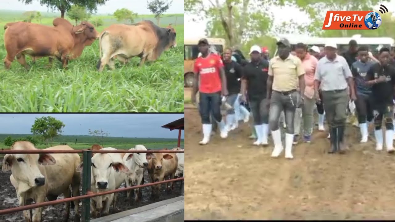 MBOGO FARM WAUNGA MKONO JUHUDI ZA SERIKAL KATIKA KUWAJENGEA  UWEZO  VIJANA JUU YA UFUGAJI BORA