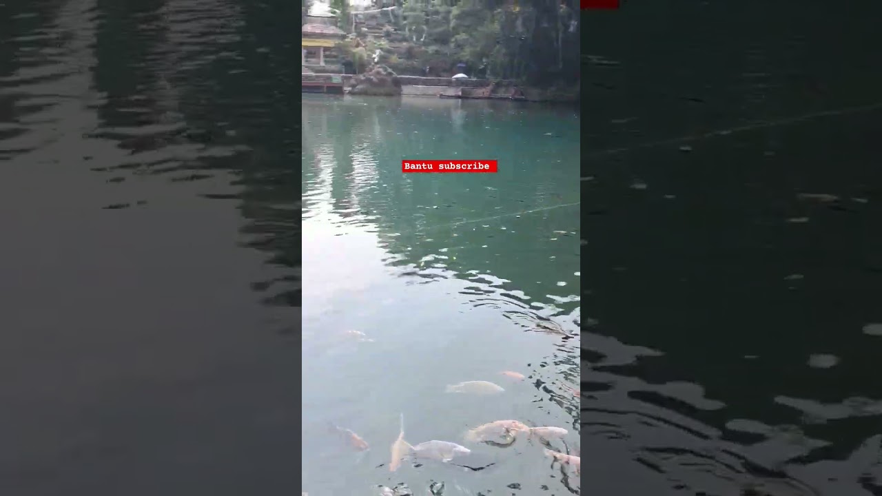 Surga para pemancing angler mania 😅 #mancing