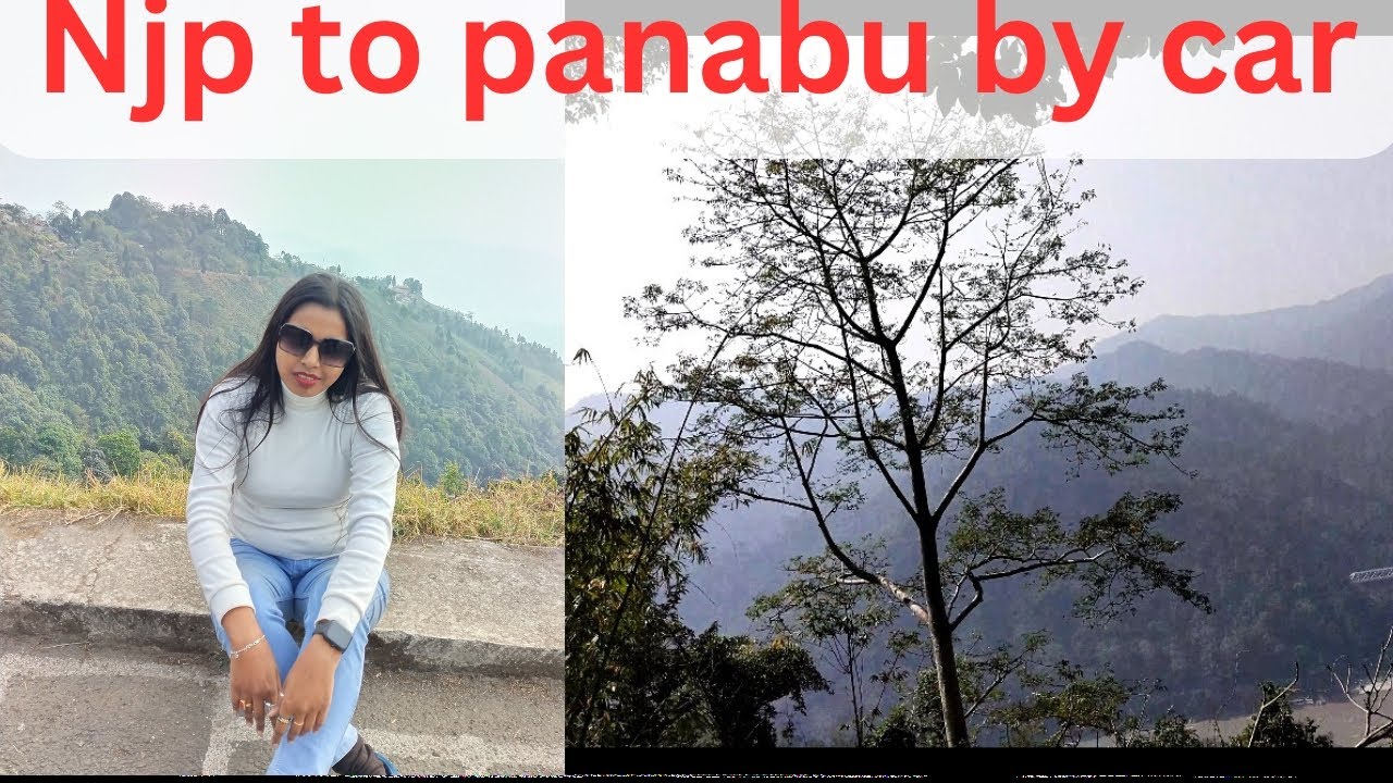 Njp to kalingpong by car 