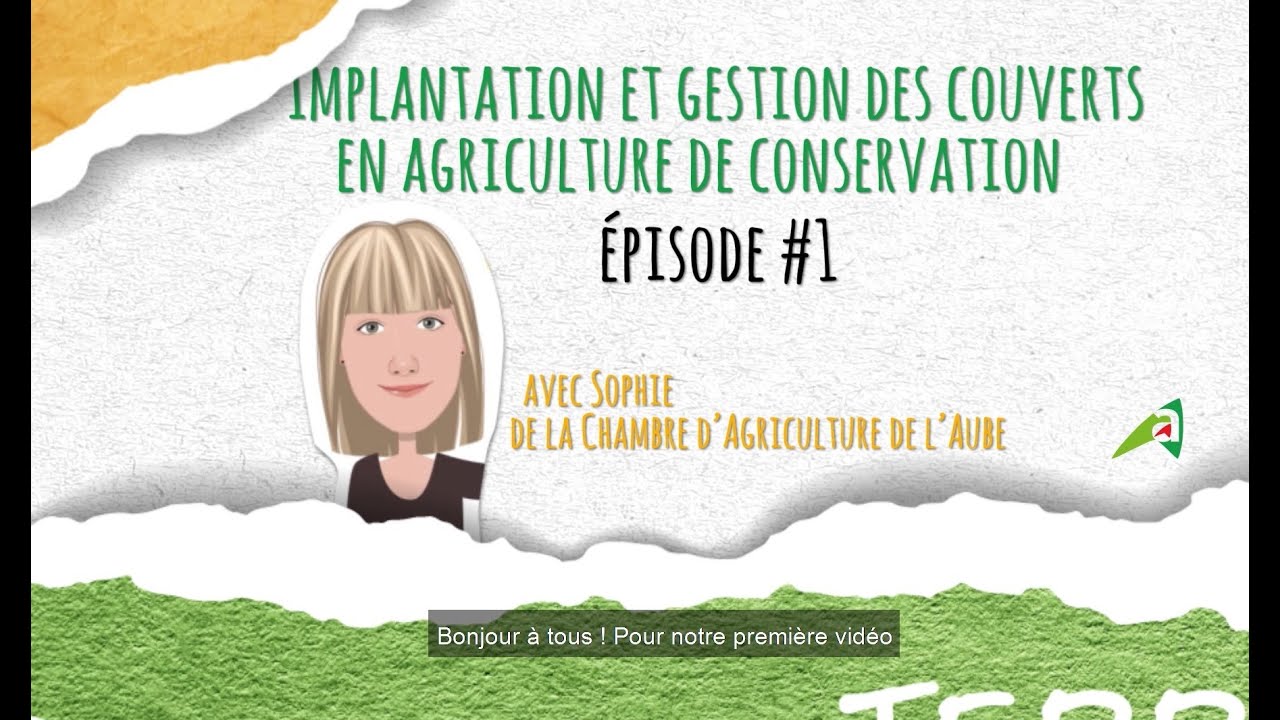 Couverts en agriculture de conservation - Episode#1 - Facteurs de réussite de l'AC