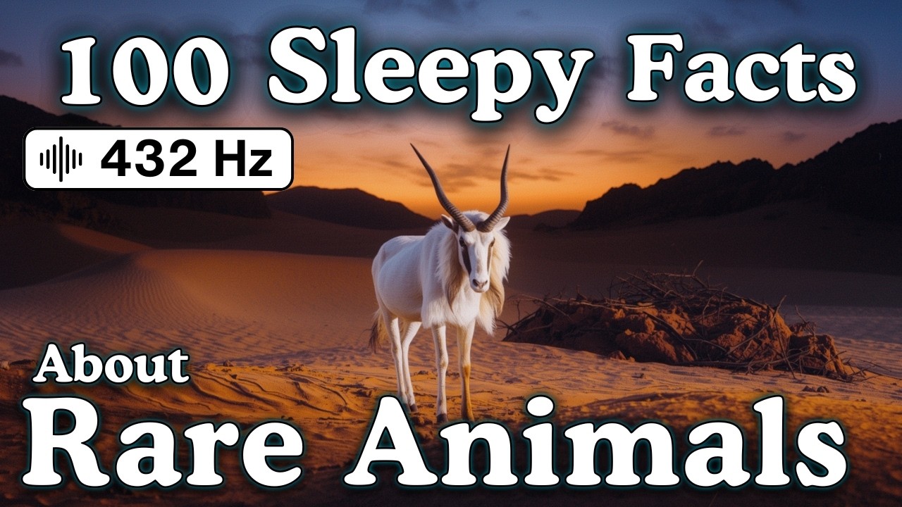 The Most Relaxing Facts About Rare Animals to Fall Asleep To — No Adverts