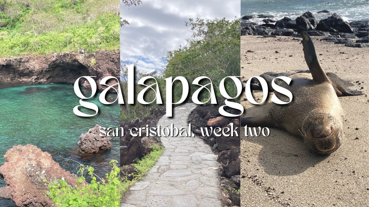 Exploring San Cristóbal GALÁPAGOS | Hiking to Cerro Tijeretas, Punta Carola beach & sea lions
