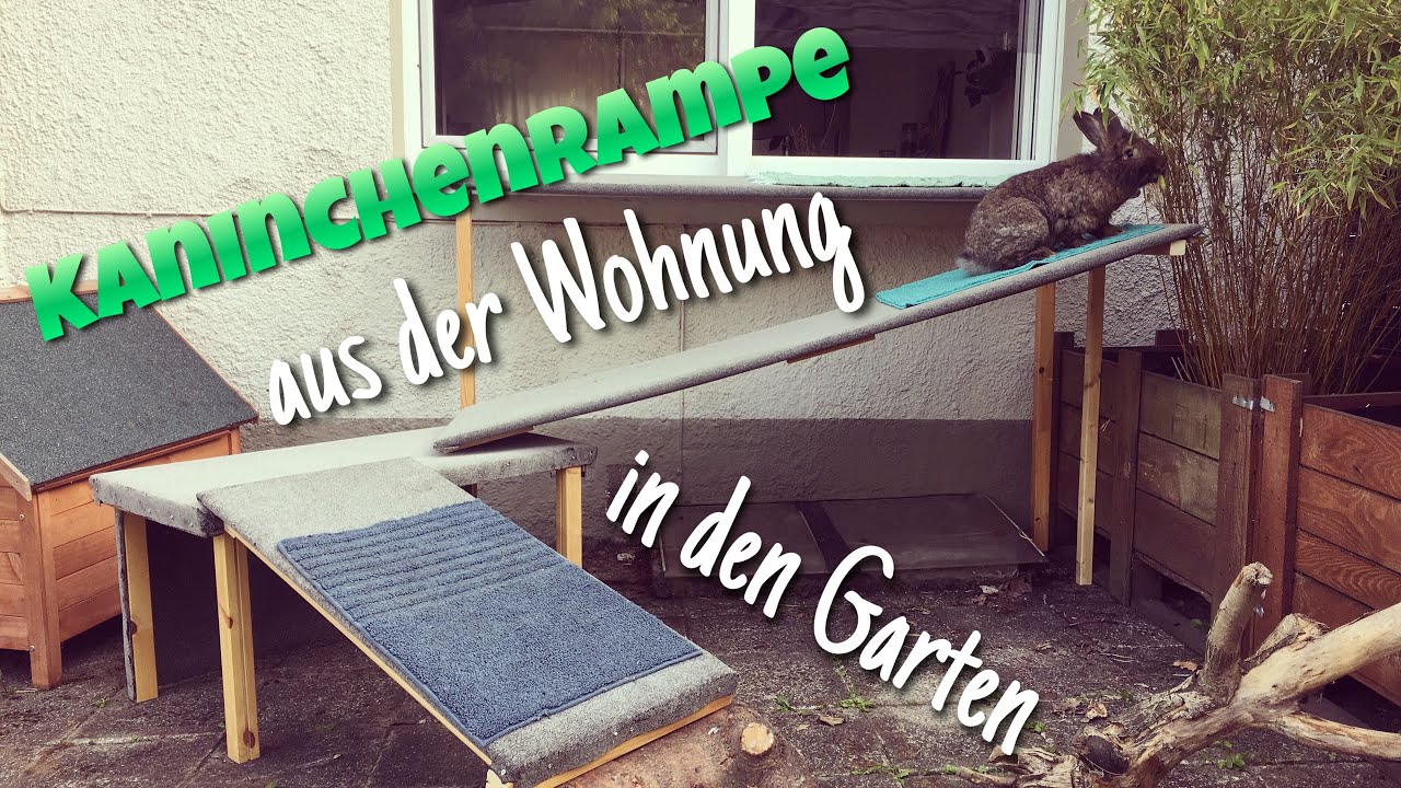 Kaninchenrampe durch Fenster in neues Außengehege