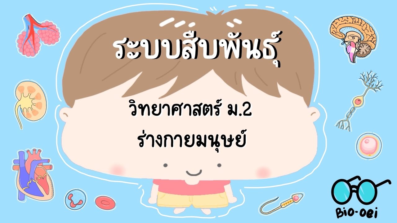 สรุป ร่างกายมนุษย์ ม.2 - ระบบสืบพันธุ์ | Bio-oei