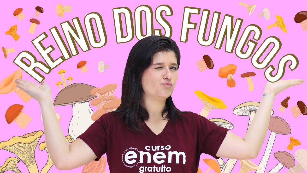 REINO DOS FUNGOS E SUAS CARACTERÍSTICAS | Resumo de Biologia para o Enem