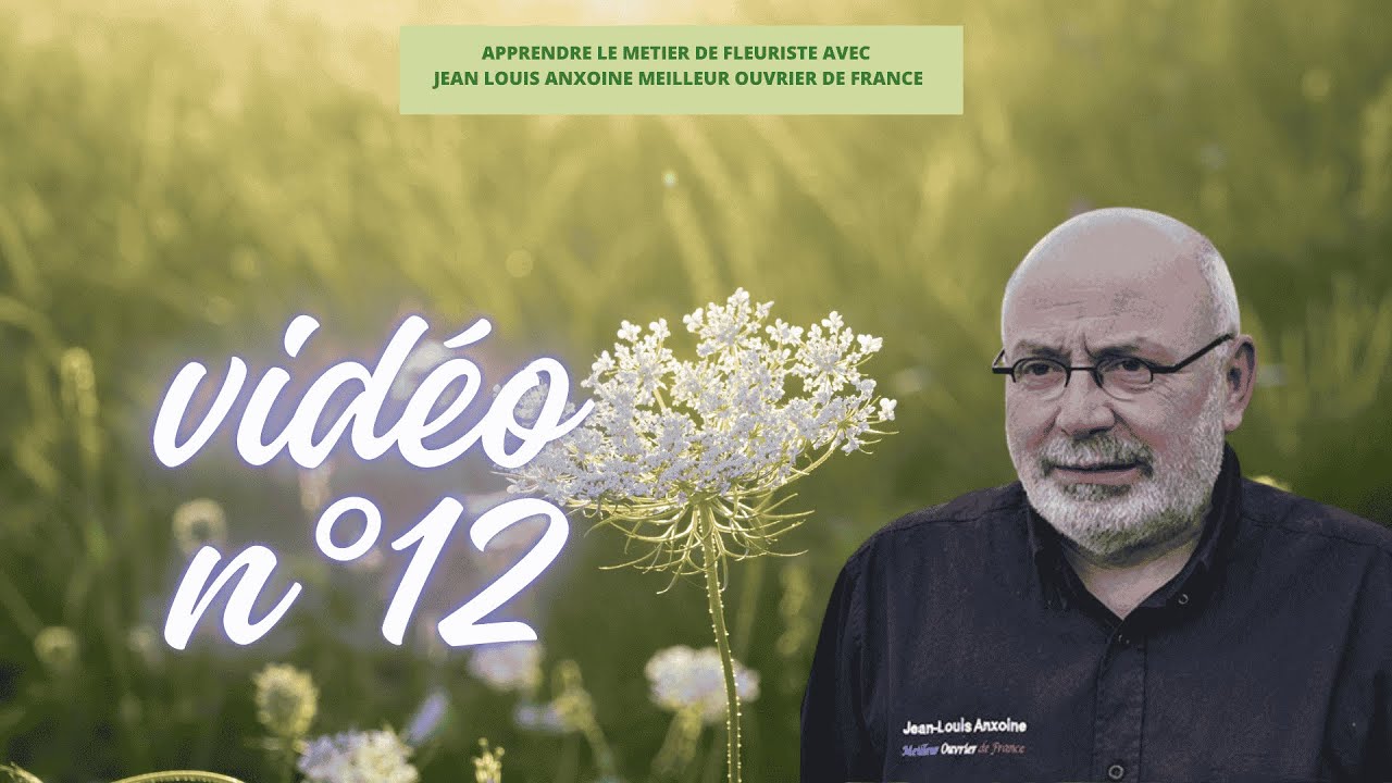 Les bouquets d'impulsion ou comment séduire le consommateur (troisième partie )