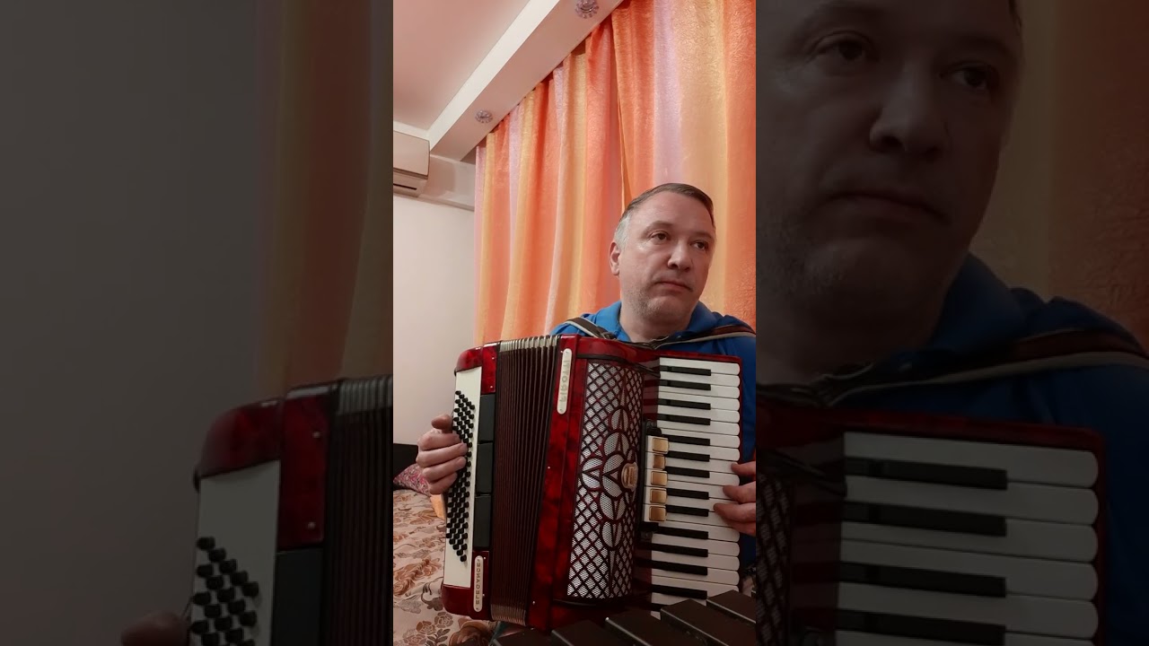 Шикарный аккордеон Firotti Германия 3/4. Продан.