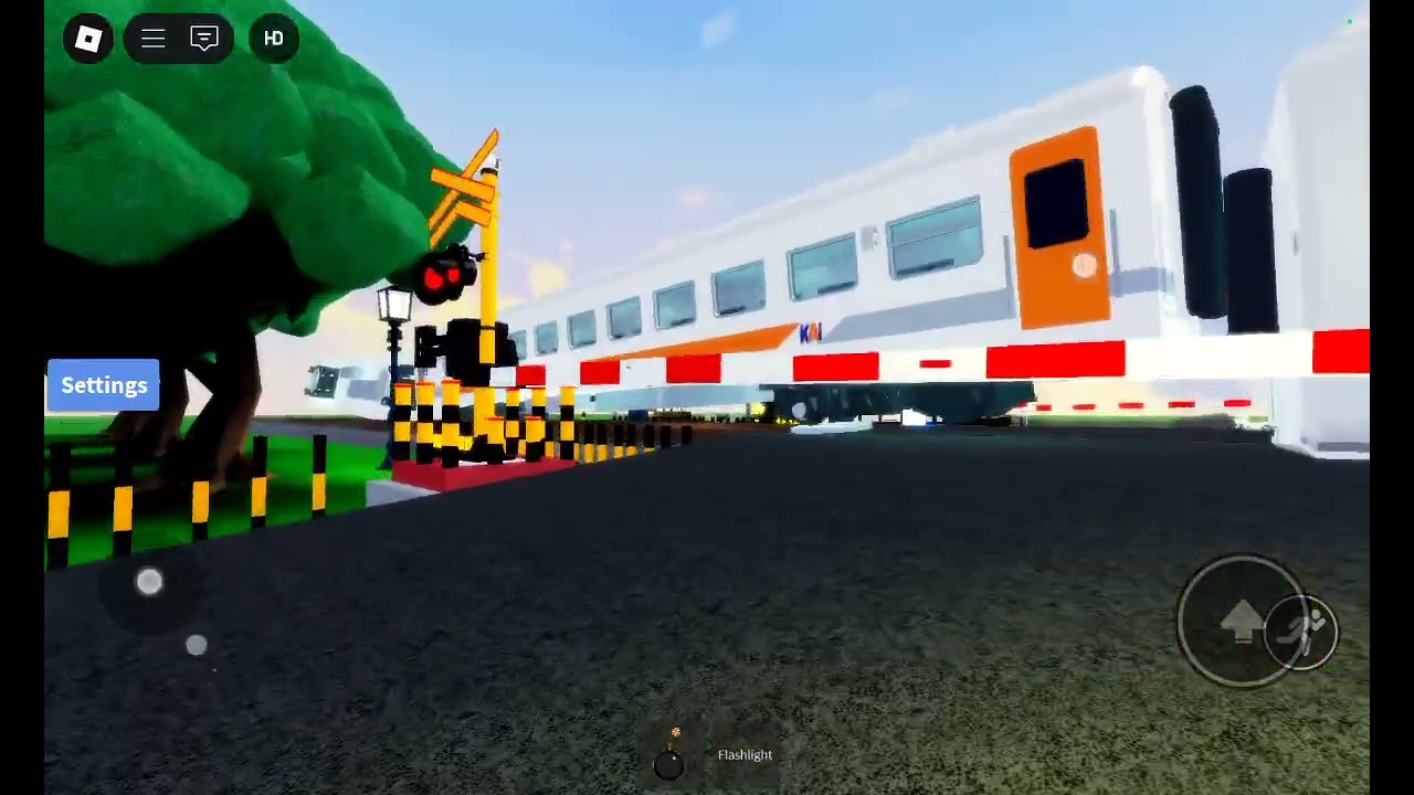 Indonesian Train vs cars