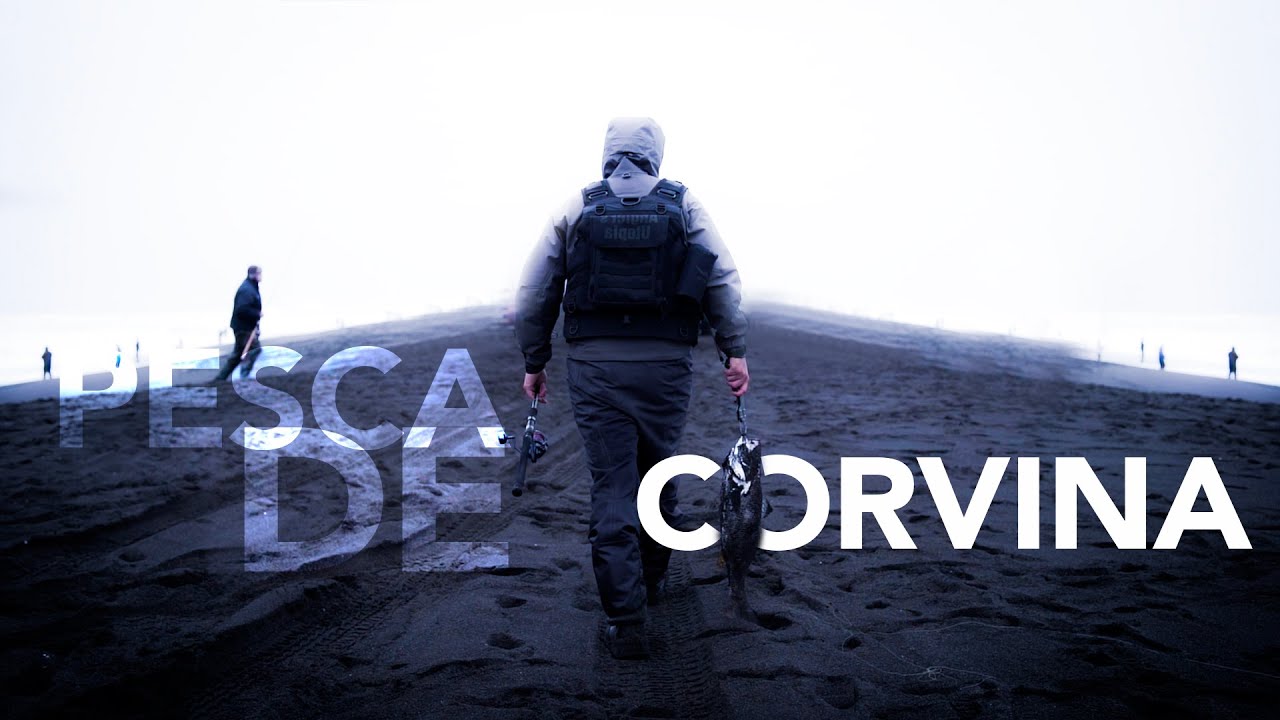 Pesca de Corvina con Metal Vib