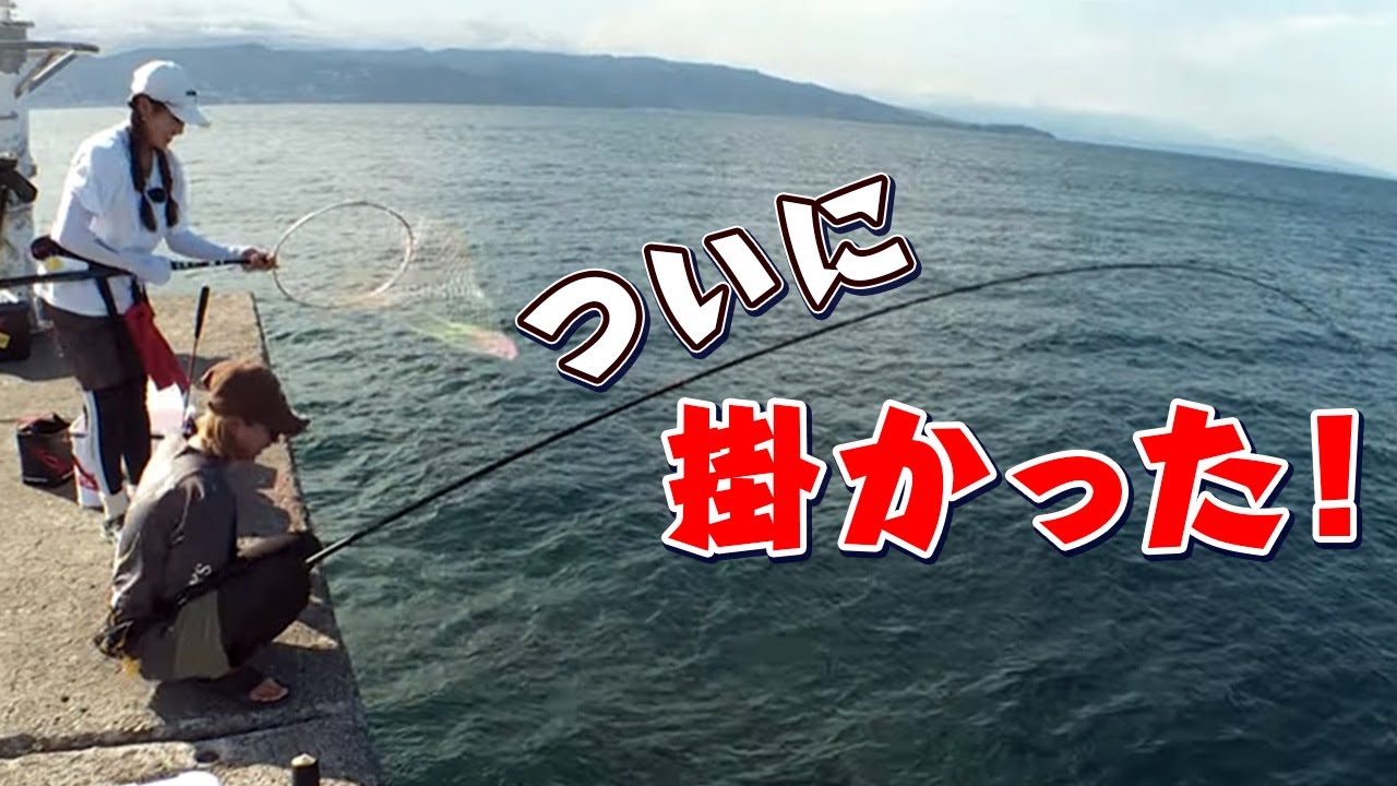 GO!GO!九ちゃんフィッシング #544　「のべ竿で挑む堤防超大物釣り！ 初島リベンジ大成功？」