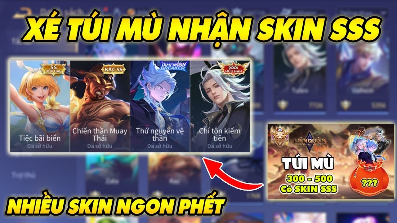 Mình Thử Xé Túi Mù Nhận Skin SSS Và Nhiều Skin Vip Trong Liên Quân