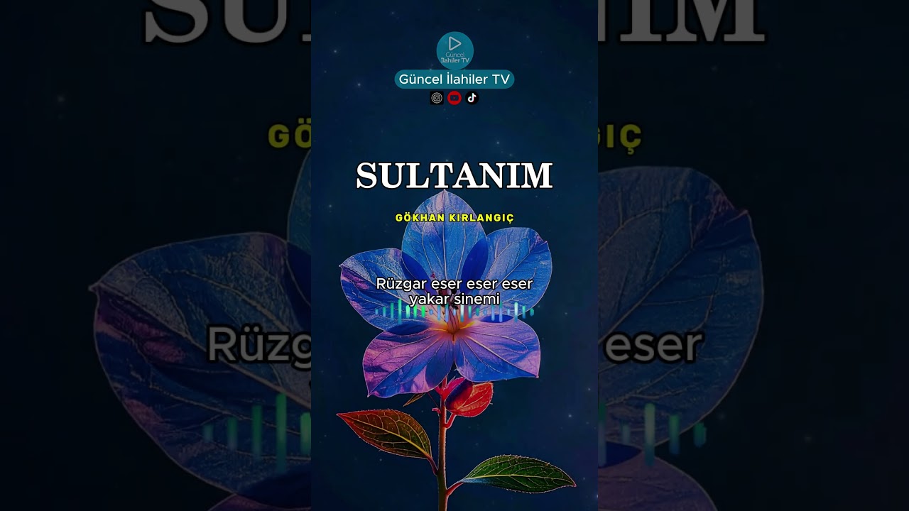 Paylaşmaya değer en güzel ilahilerin adresi: Güncel İlahiler TV 