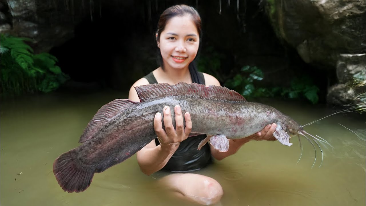 How to Harvesting giant Catfish in cave Goes to Market Sell | Catfish that lived 20 years | Hanna
